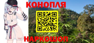 шишки Гагарин