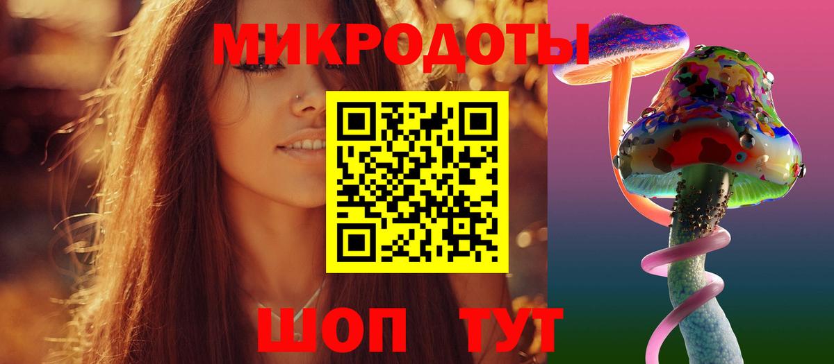 Псилоцибиновые грибы Psilocybe  Псилоцибиновые грибы прущие грибы  Вход с VPN  Дивногорск 