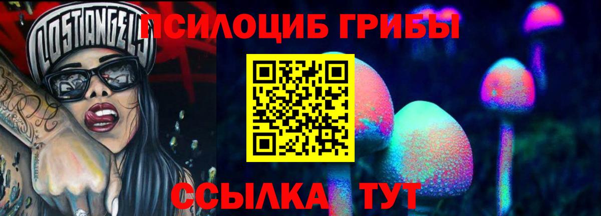 Галлюциногенные грибы Magic Shrooms Дивногорск